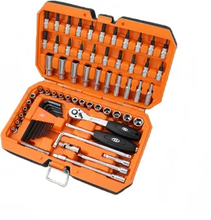 66-Piece 1/4" Drive Socket Set, Metric & SAE, 6-Point Shallow & Deep Sockets, Torx, Hex, Phillips, Spline Bits, 72-Tooth Ratchet, Extensions, Hex Keys, with Storage Case for Home & Auto Repair