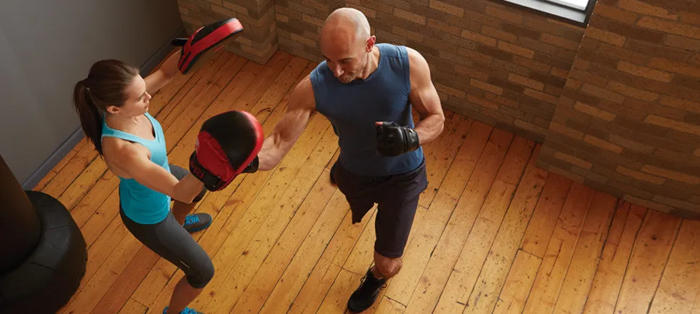 Spri Punch Mitts