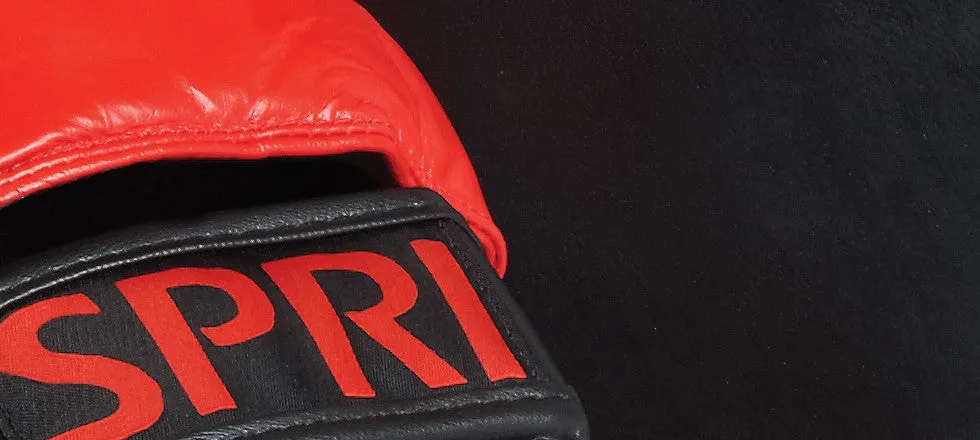 Spri Punch Mitts