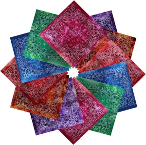 xsby 12 Piece Novelty Bandanas Paisley 100% Cotton Headwear